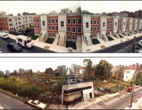 bronx