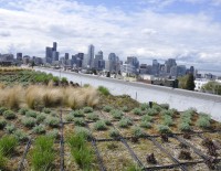 xctrain12-seattle76